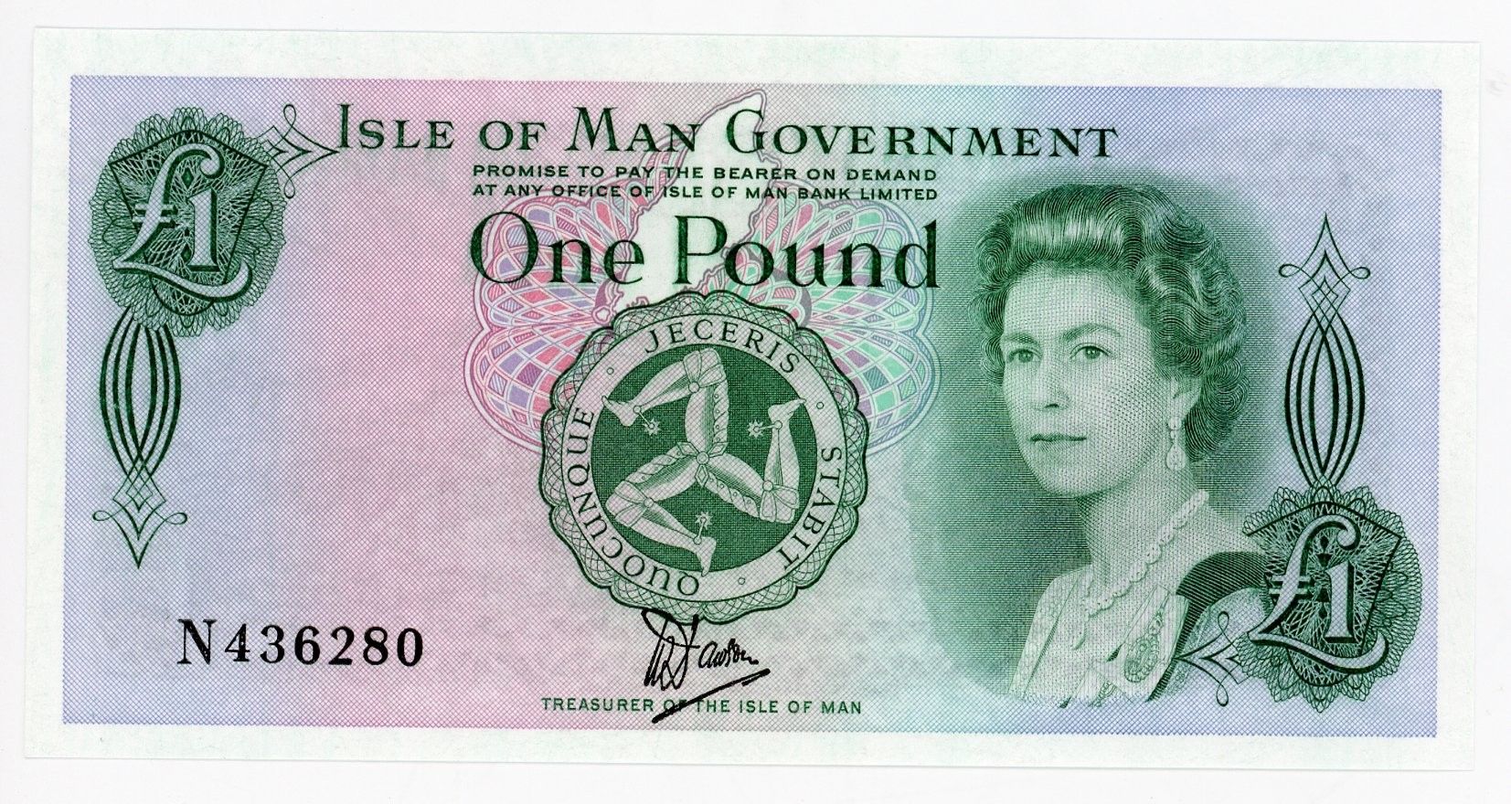 One Pound Tyvek Bank Note